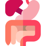 Internal Medicine