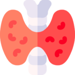 Endocrinology