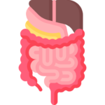 GI Surgery