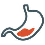 Gastroentrology
