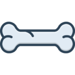 Orthopaedics